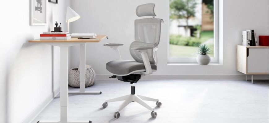 Чи справді крісло з сіткою корисне для спини: науковий розбір міфів