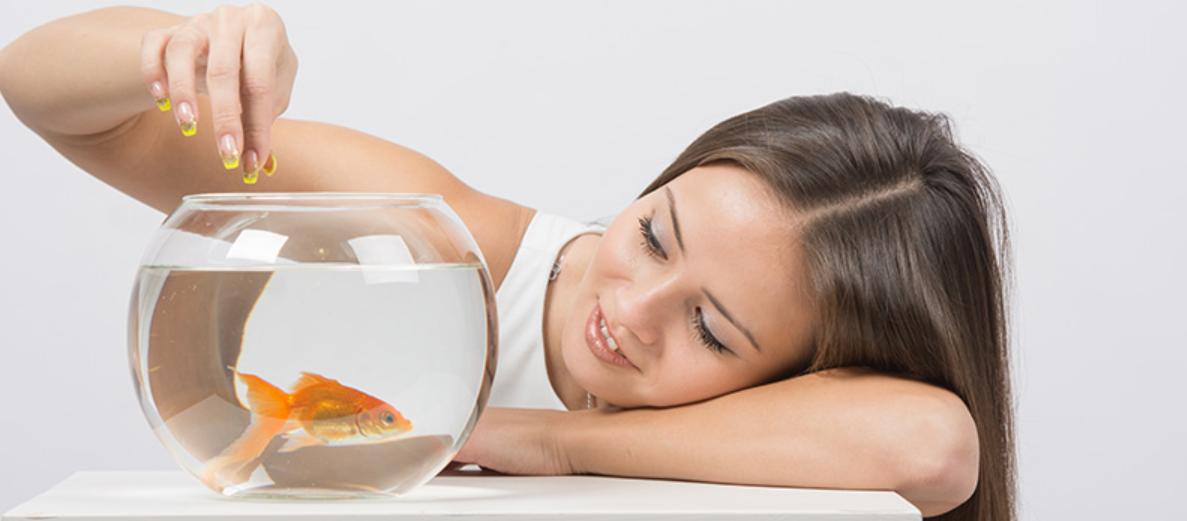 годування рибок кормом