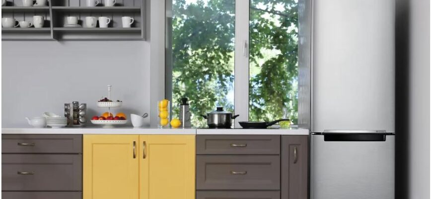 Как выбрать холодильник для дома