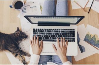 Какие гаджеты нужны для удаленной работы?