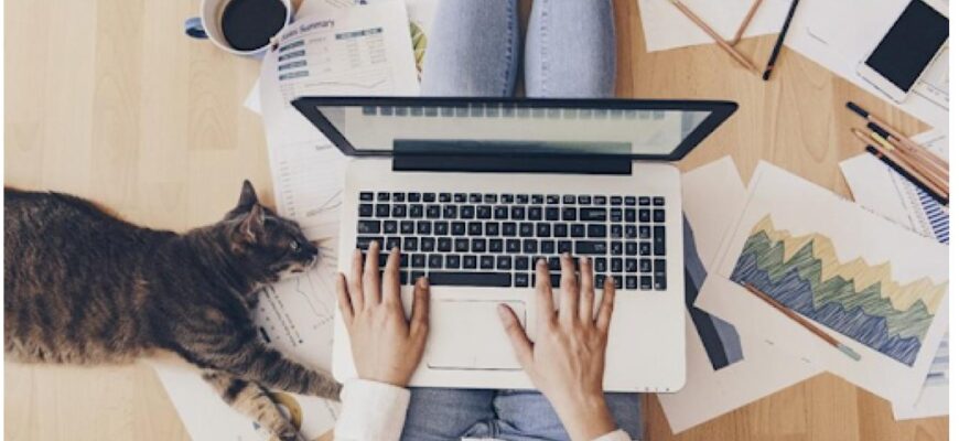 Какие гаджеты нужны для удаленной работы?