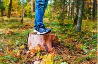 Кросівки для осені: найкращі моделі для активного відпочинку та подорожей