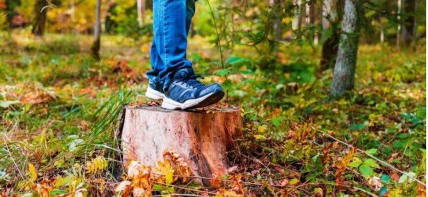 Кросівки для осені: найкращі моделі для активного відпочинку та подорожей