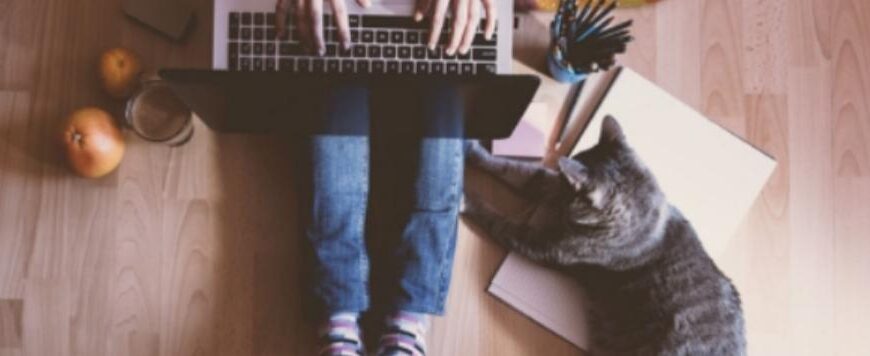 Онлайн-шопинг в Китае vs обычный магазин