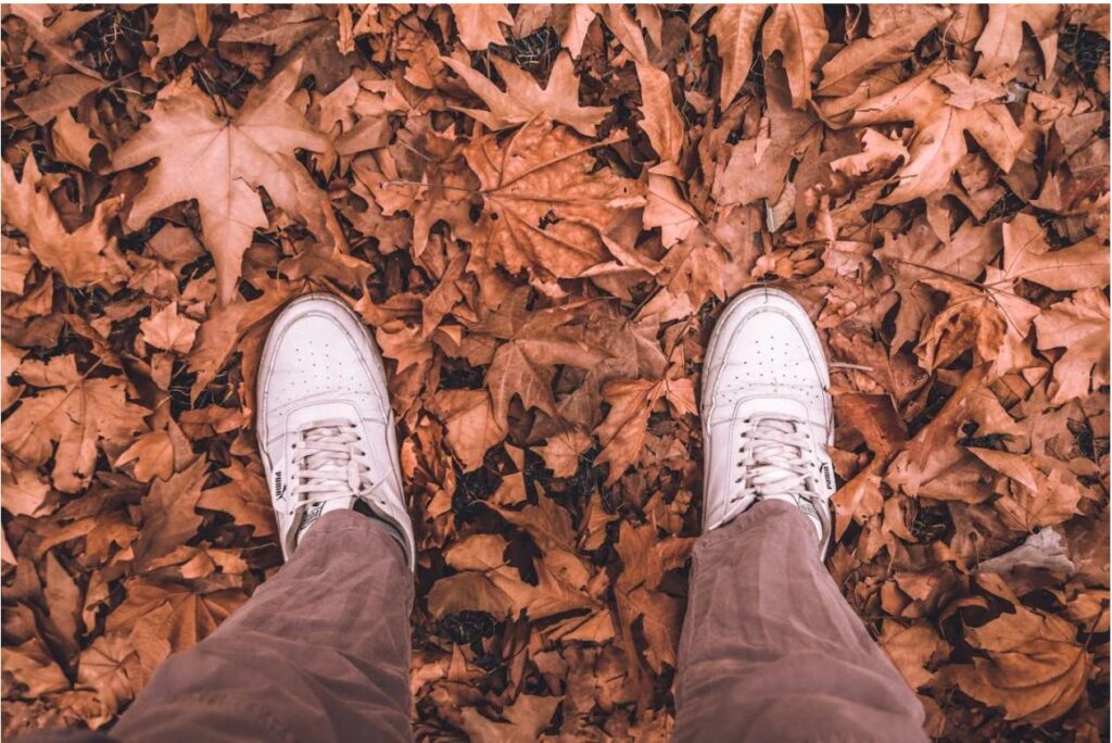 ТОП моделей для осінніх подорожей