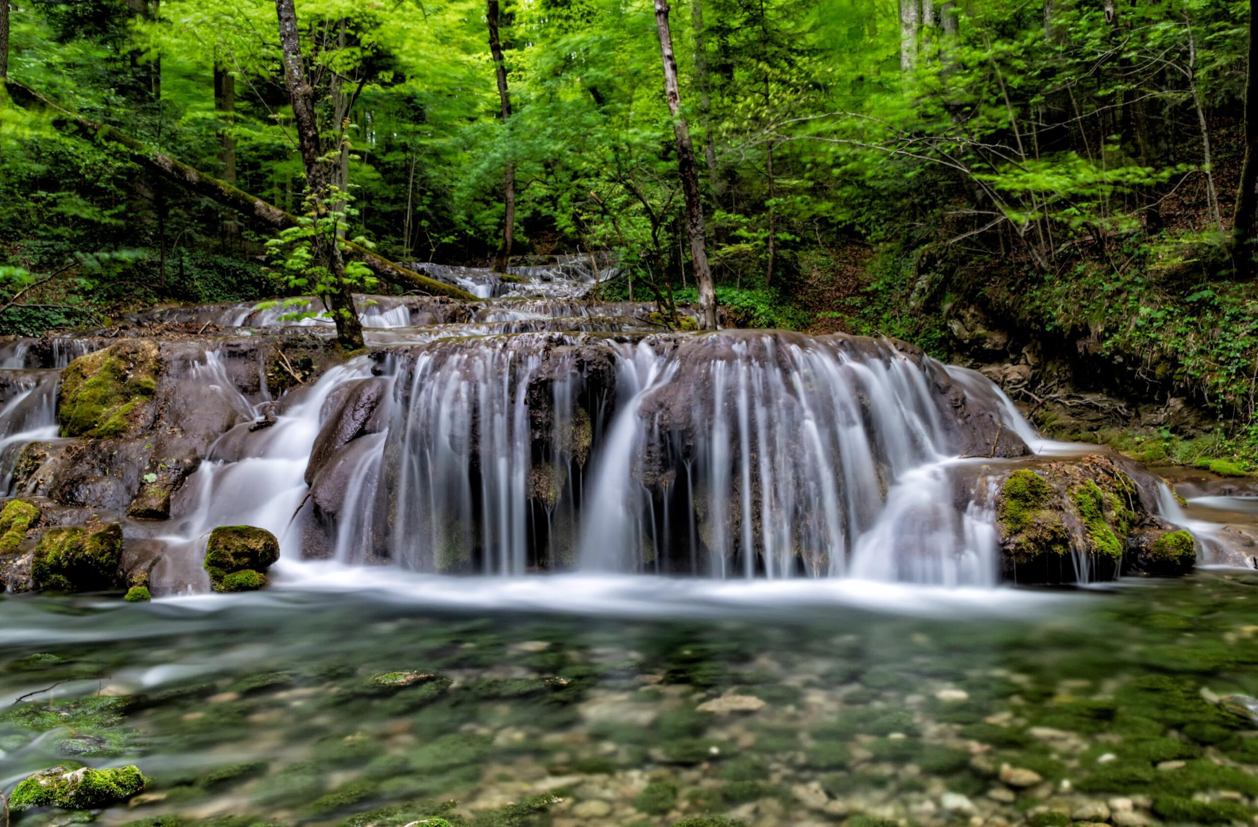 Национальный парк Cheile Nerei-Beusnita