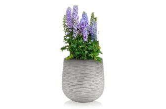 Як обрати горщики та кашпо для дому, саду чи балкону